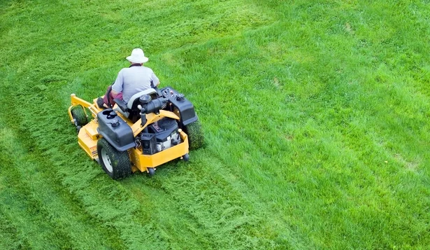 Service Photo of Lawn Mowing