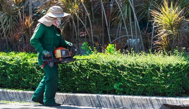 Service Photo of Hedge and Shrub Trimming