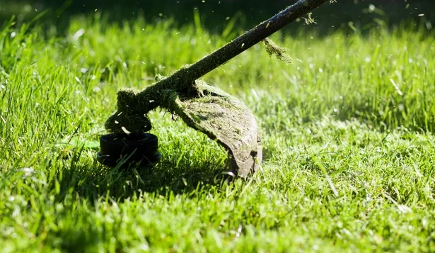 Service Photo of Weed Eating